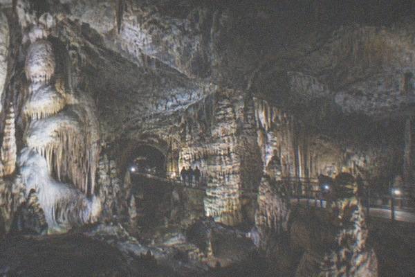 Half-Day Postojna, Predjama Castle, Trieste