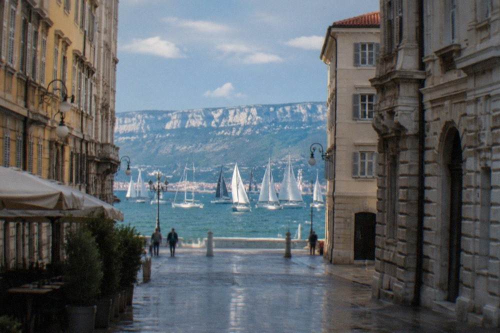 Sailing boats gathered on the Gulf of Trieste before the start of a regatta