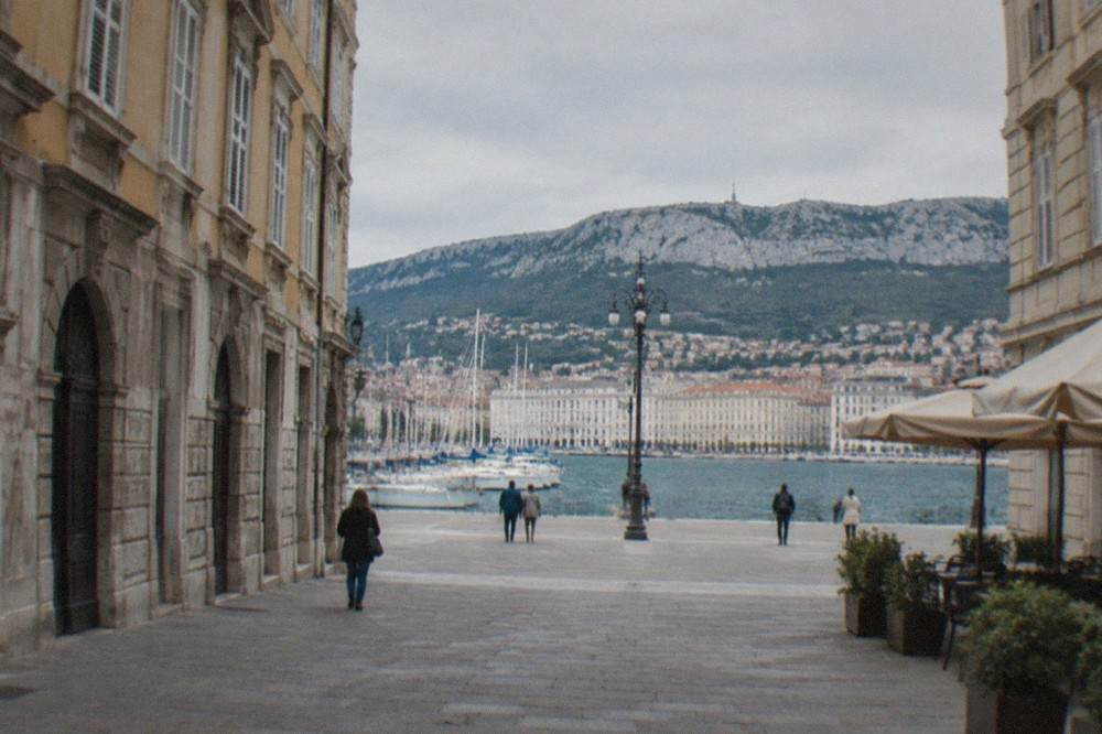 Sailing boats gathered on the Gulf of Trieste in front of the city waterfront
