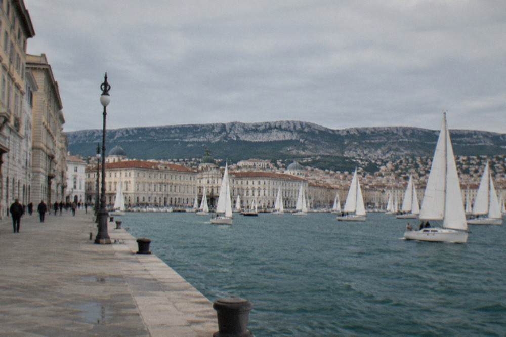 Dozens of sailing boats crowd the Gulf of Trieste under white sails, seen from the stone waterfront.