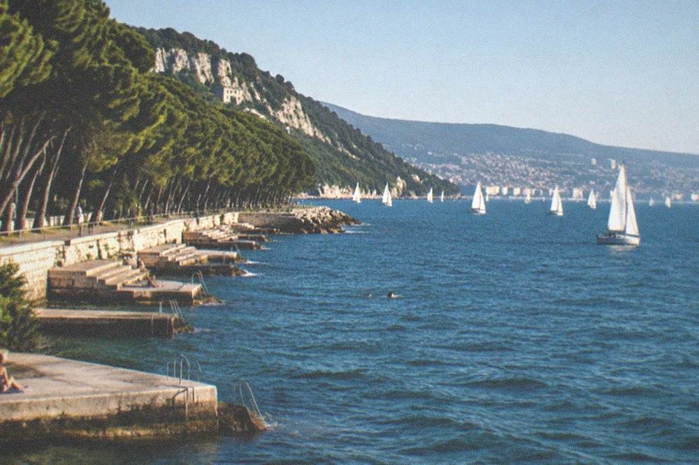 Sailing boats crowd the Gulf of Trieste off the Barcola seafront in strong clear light.