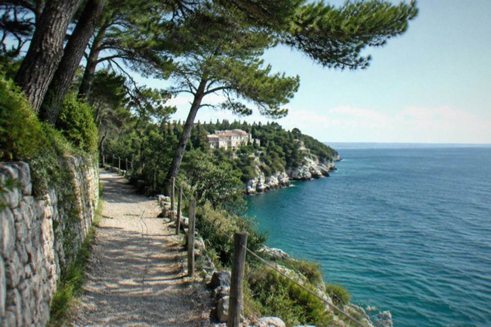 A narrow gravel path along a clifftop with pine trees and open sea views