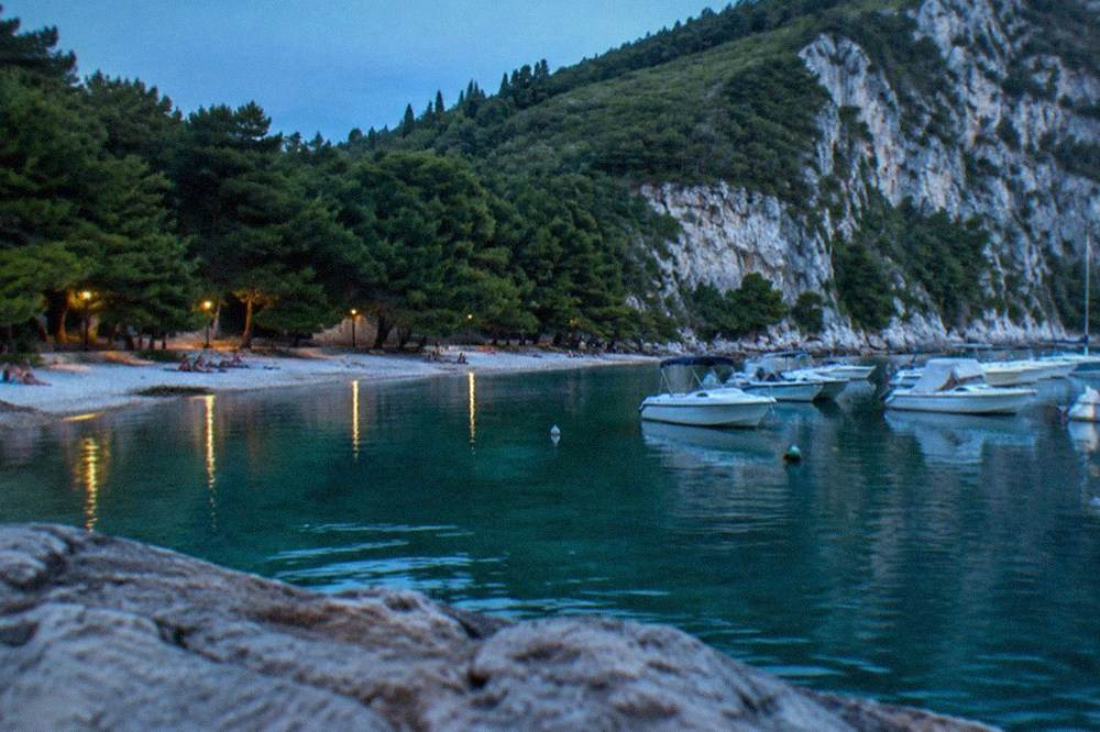 People relaxing on a narrow sand and pebble beach with pine trees directly behind the shoreline