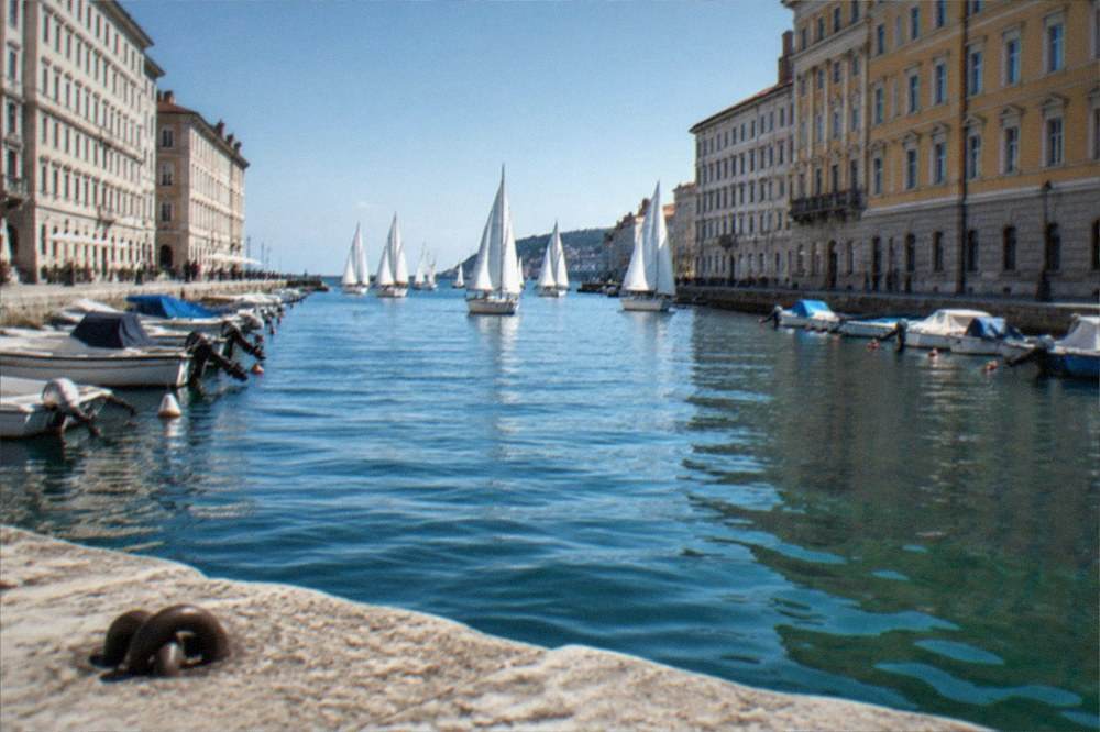Sailing boats gathered in a gulf in front of a city waterfront during a regatta