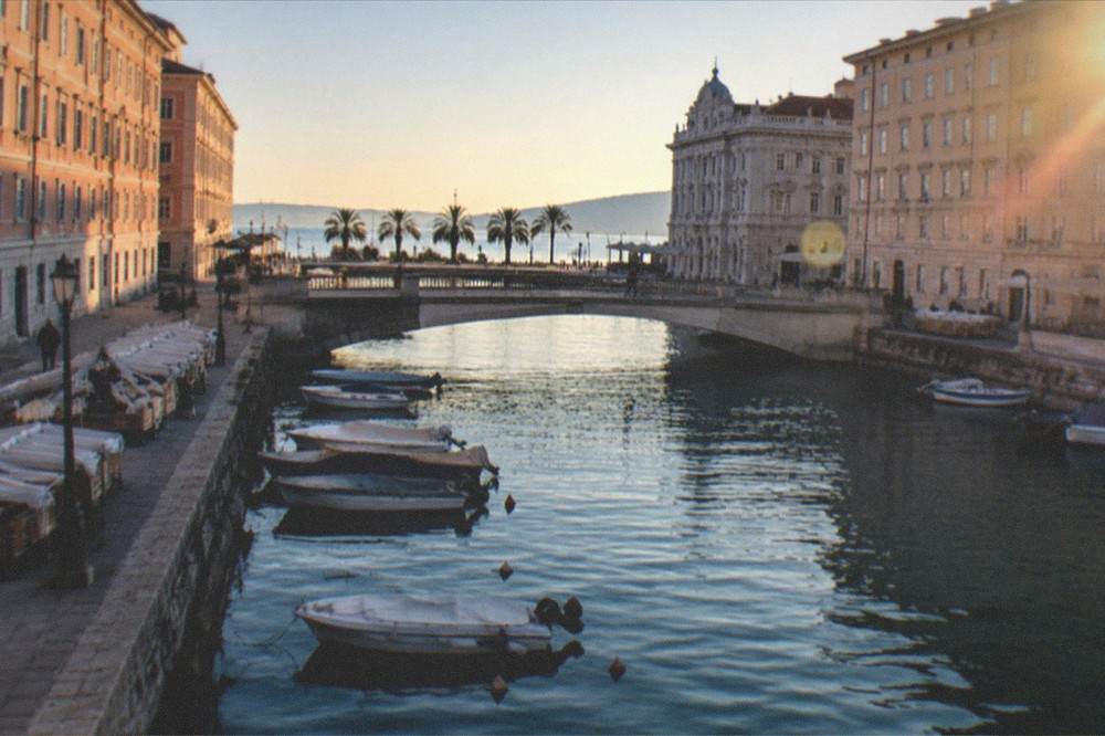 A seaside promenade with palm trees and grand buildings under a clear evening sky