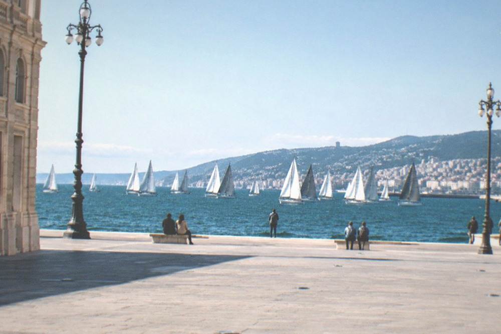 A sailing regatta fleet on open water in front of a European waterfront city