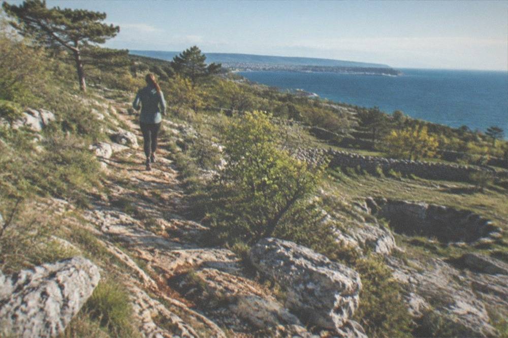 Wild karst grassland and low shrubs along a coastal path in spring
