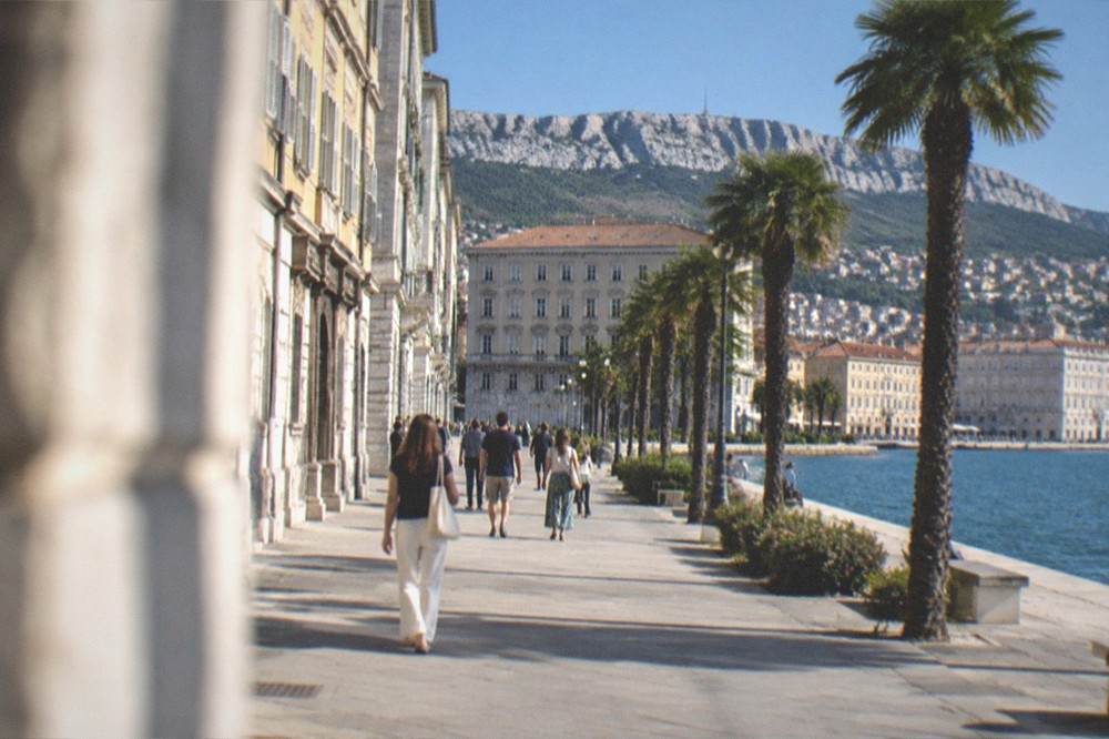 A sunny seaside promenade with palm trees and people strolling beside calm blue water