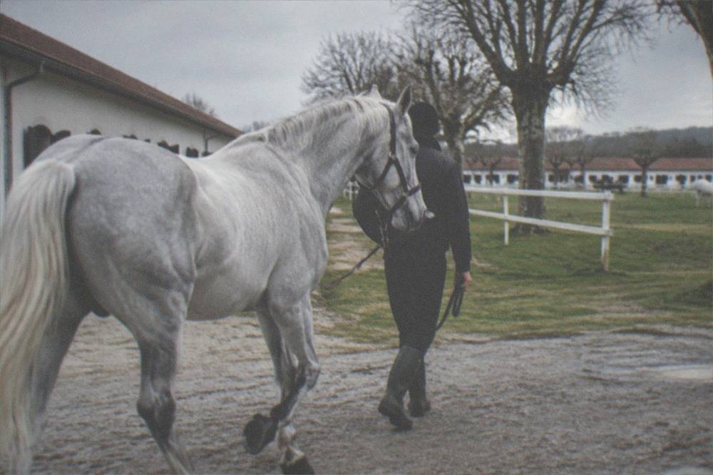 A grey Lipizzaner horse being led by a groom in a stable yard