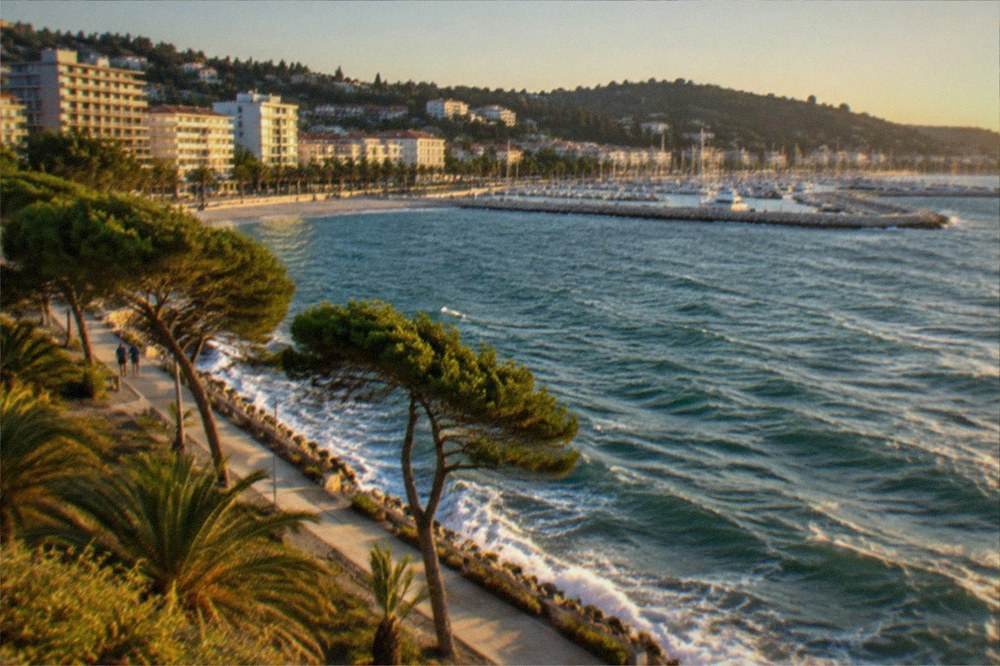 White-capped sea and bent trees along a stone seafront under a clear sky