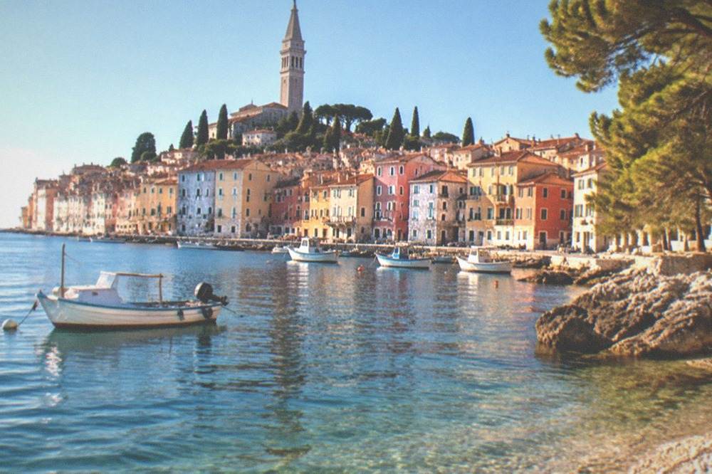 Pebble cove with clear water near Rovinj, pines along the shore