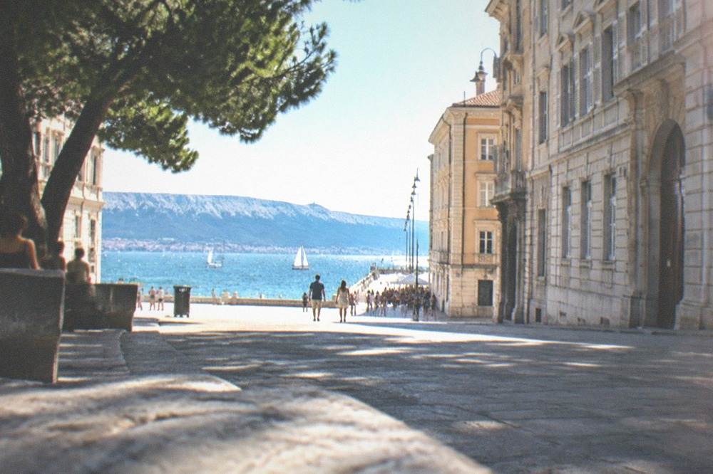 Sailing boats scattered across the Gulf of Trieste on a clear summer day