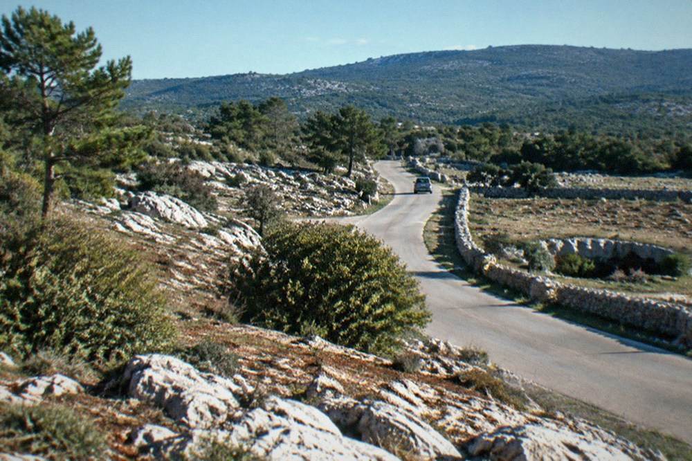 A quiet road on the Carso plateau near Trieste running towards green hills at the Slovenian border