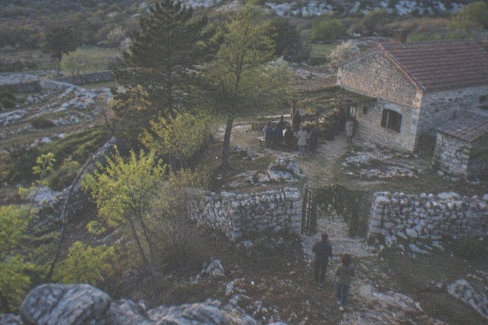 A farmhouse on the Karst plateau with a leafy frasca branch hung at the gate to signal an open osmiza