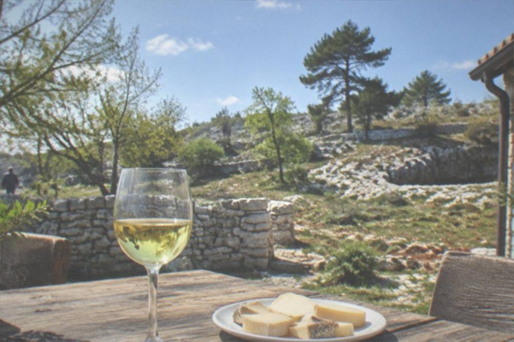 A glass of pale white wine and a plate of cheese on a rustic wooden table in a farmhouse courtyard