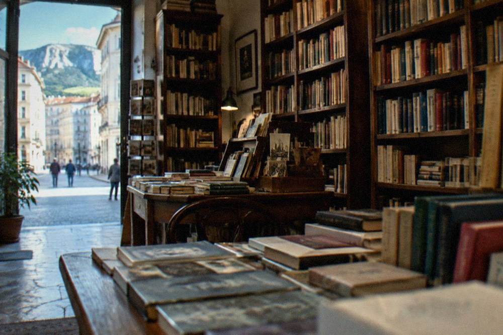 An old bookshop interior with wooden shelves in Trieste, Italy