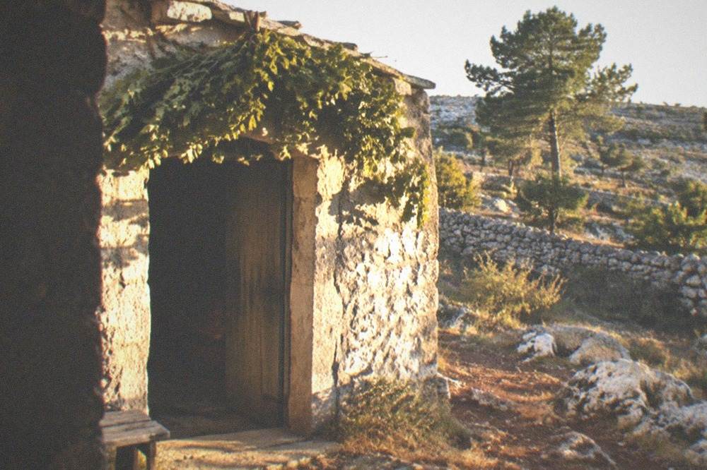 A farmhouse cellar door with a leafy frasca branch hung above the entrance on the Carso plateau