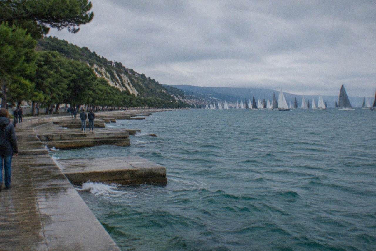 Sailing boats crowding the start line of a regatta on a blue sea gulf, seen from a city waterfront