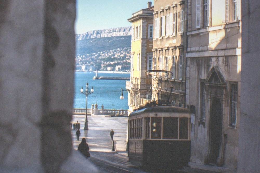 A vintage tram climbing a wooded hillside above a coastal city