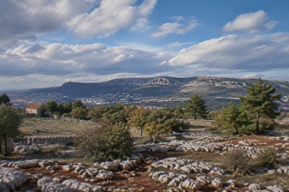 View of the Karst plateau rising behind the rooftops of Trieste