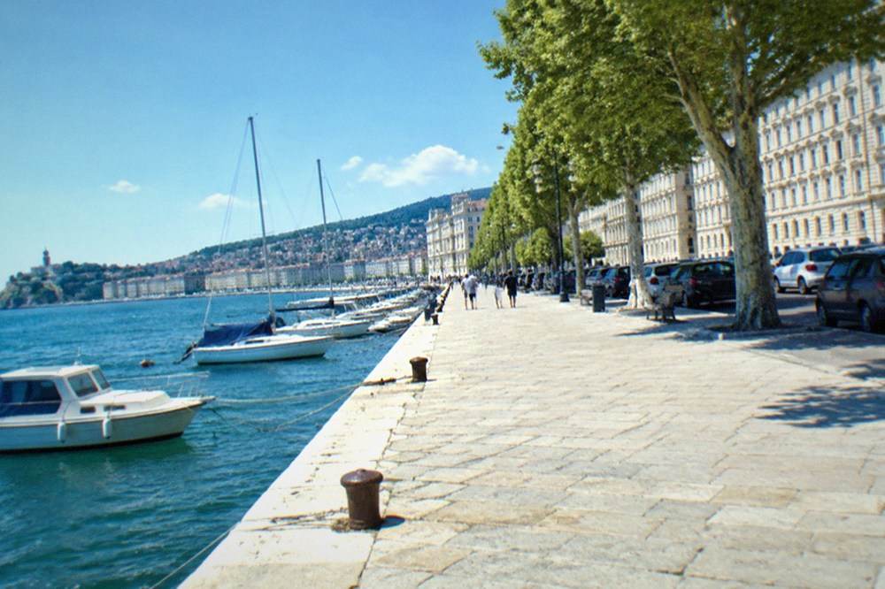 A coastal road winding above the Adriatic with a walled town on a peninsula below