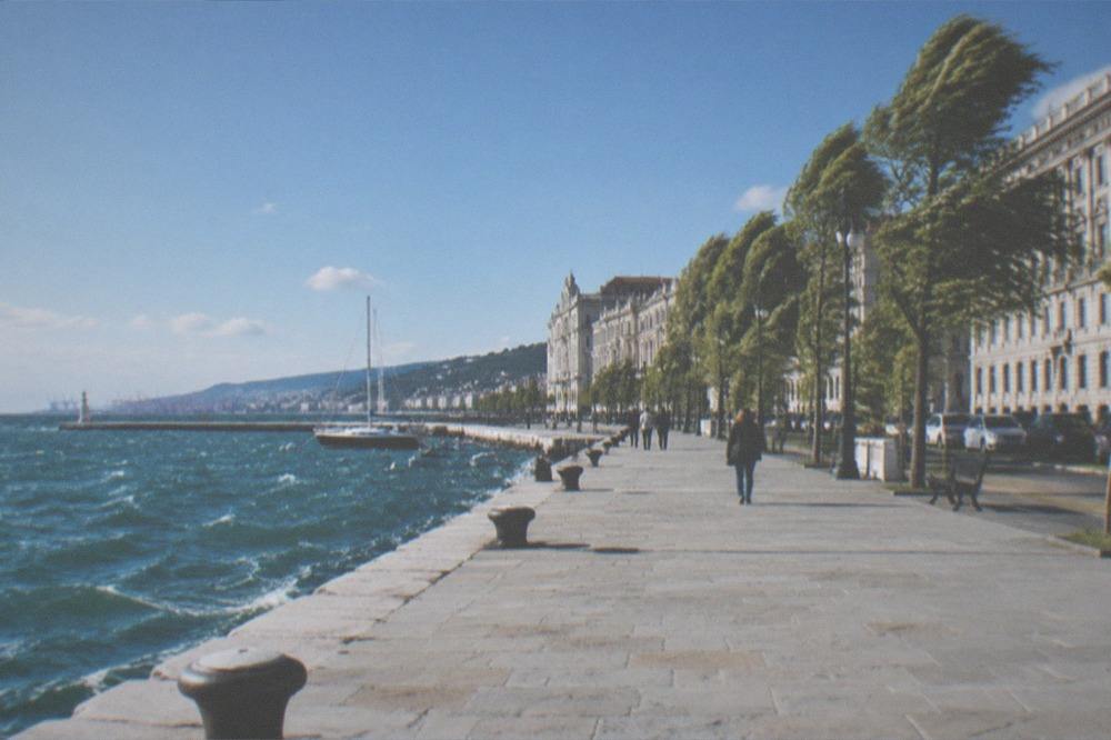 A seafront promenade under a clear sky with white-capped water and trees bending in the wind
