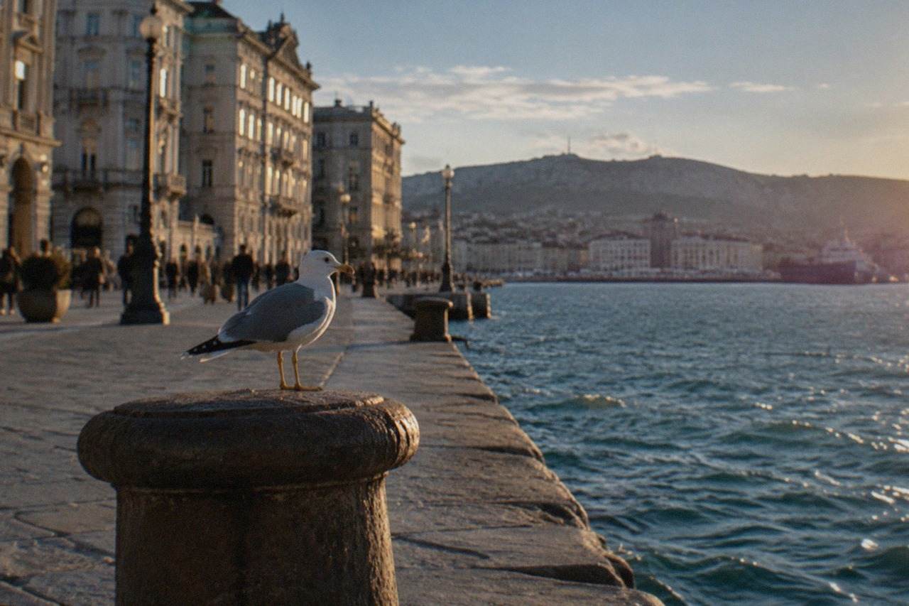 Seafront square in Trieste with ornate facades and open water at dusk
