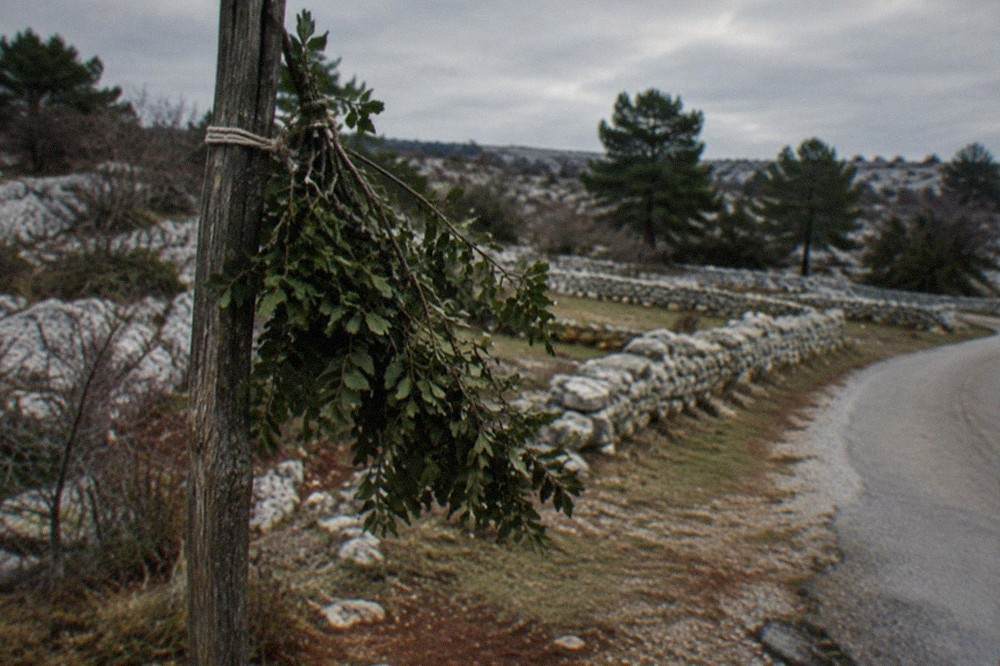 A leafy frasca branch hung on a post at a rural road junction on the Karst plateau