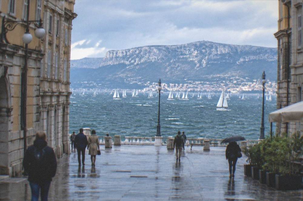 Hundreds of sailing boats spread across a wide gulf under an autumn sky, seen from a city seafront