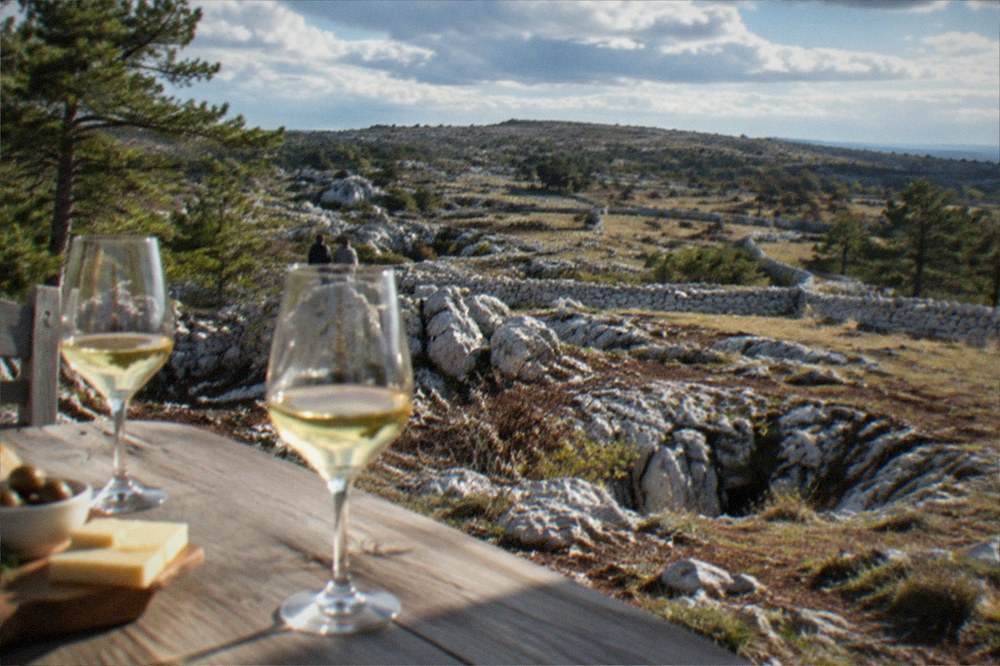 Glasses of white Carso wine on a tasting table overlooking the plateau
