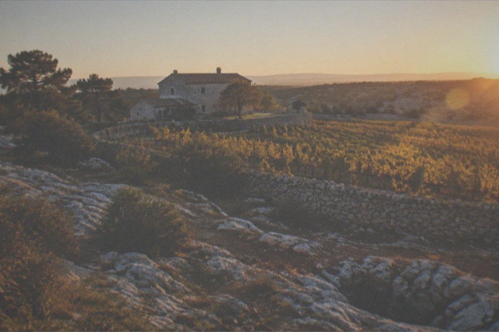 Stone farmhouse and vineyard on the Karst plateau above Trieste at golden hour