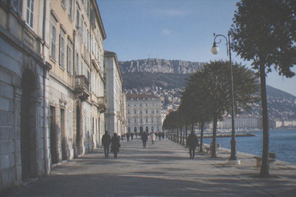 A seaside promenade lined with trees and people walking beside a calm blue gulf