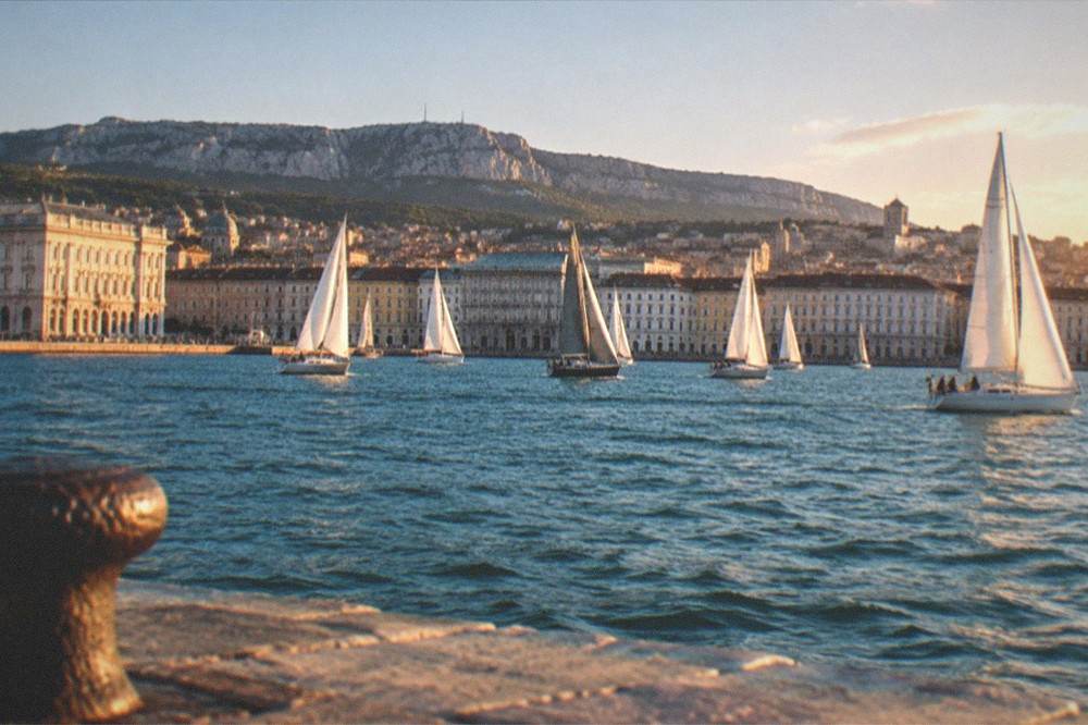 Sailboats clustered on the Gulf of Trieste during a regatta, seen from the seafront with the city behind