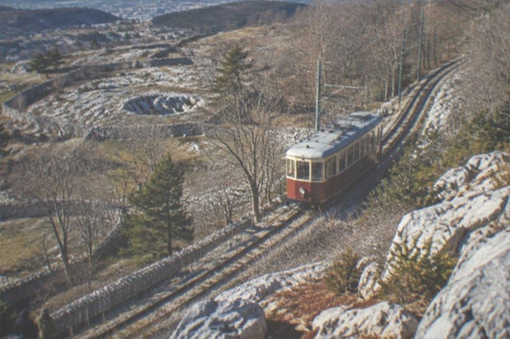 A vintage tram climbing through bare trees on the Trieste karst hillside in winter
